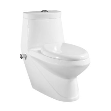 O assoalho sanitário encaixa o toalete limpo montado do toalete da vagina de uma parte